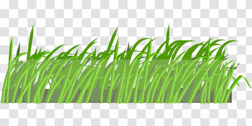 Lawn Cartoon Clip Art - Field Transparent PNG