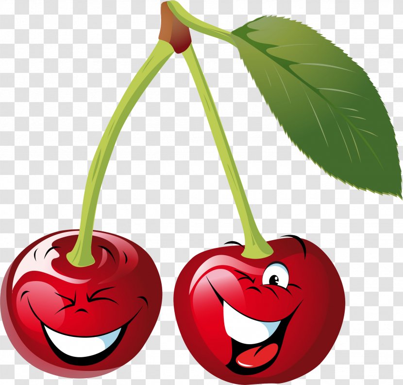 Cherry Drawing Clip Art - Cartoon Transparent PNG