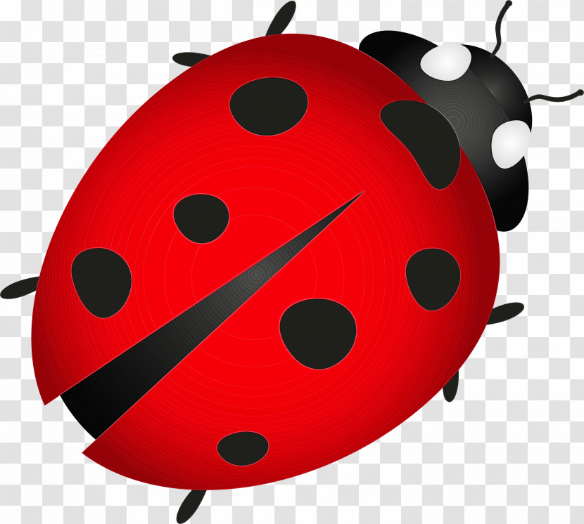 Ladybird Beetle Beetles Drawing Cartoon Marinette Dupain-cheng Transparent PNG
