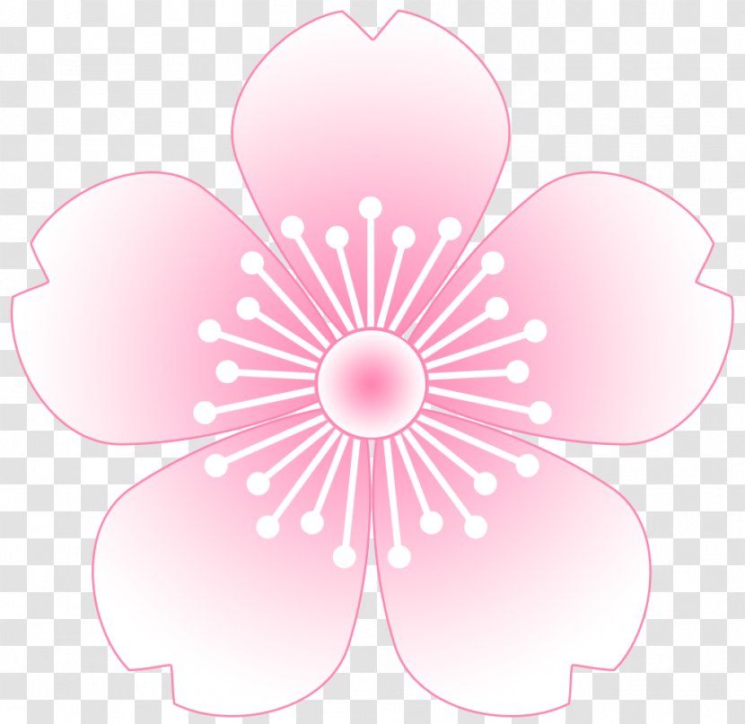 Cherry Blossom Clip Art - Flowering Plant - Spring Material Transparent PNG