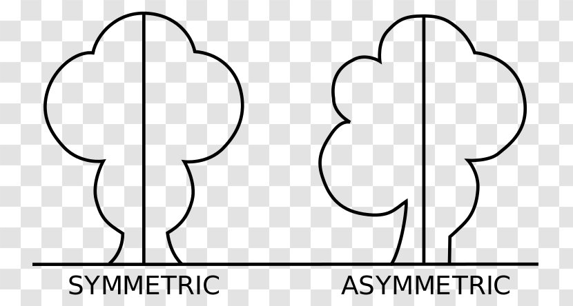 Reflection Symmetry Asymmetry Shape Mathematics - Heart Transparent PNG