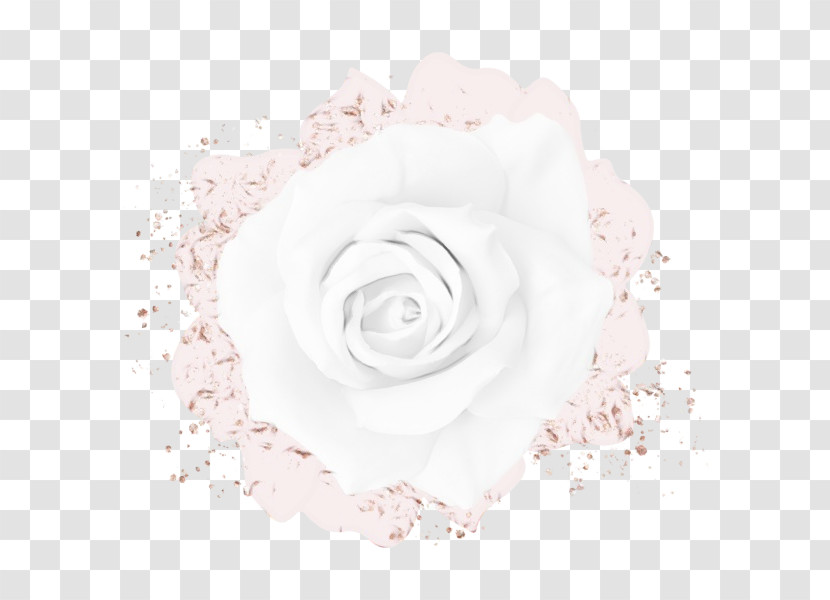 Garden Roses Transparent PNG