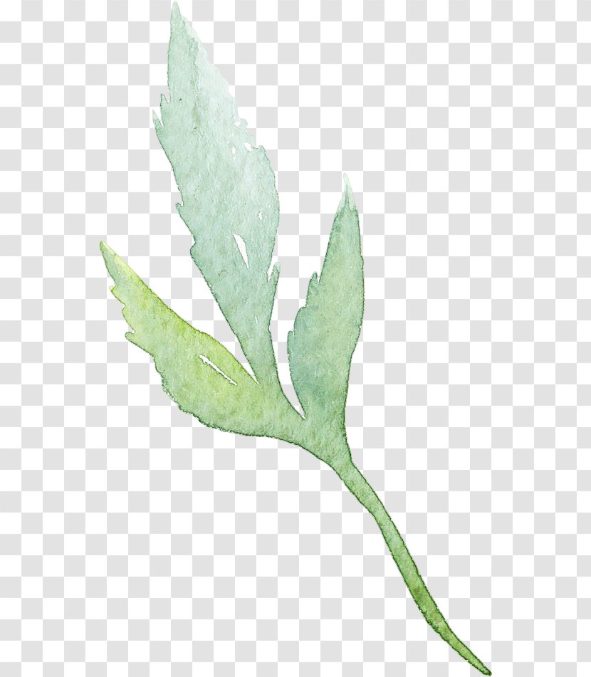 Leaf Watercolor: Flowers Watercolour Watercolor Painting - Retro Green Leaves Transparent PNG