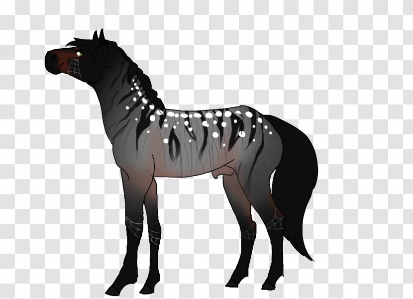 Stallion Mule Foal Mustang Mare - Rein - Prophet Transparent PNG