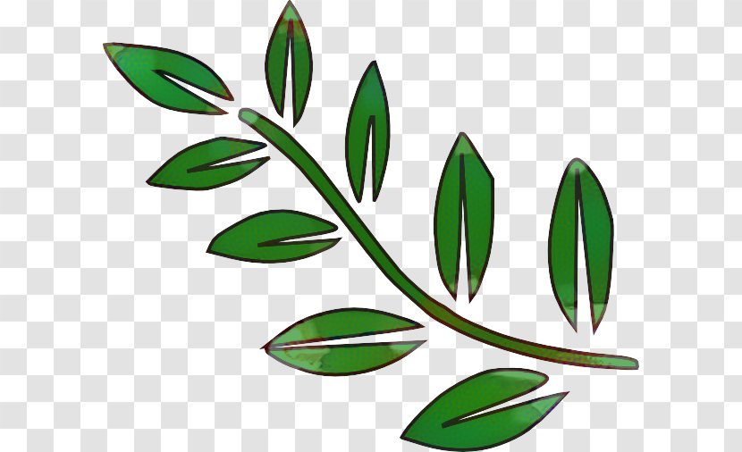 Clip Art Branch Tree Leaf - Olive - Plant Transparent PNG