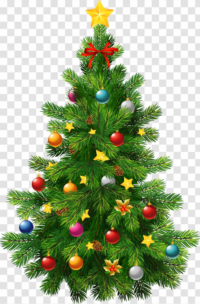 Christmas Tree Clip Art - Evergreen - Transparent Cliparts Transparent PNG