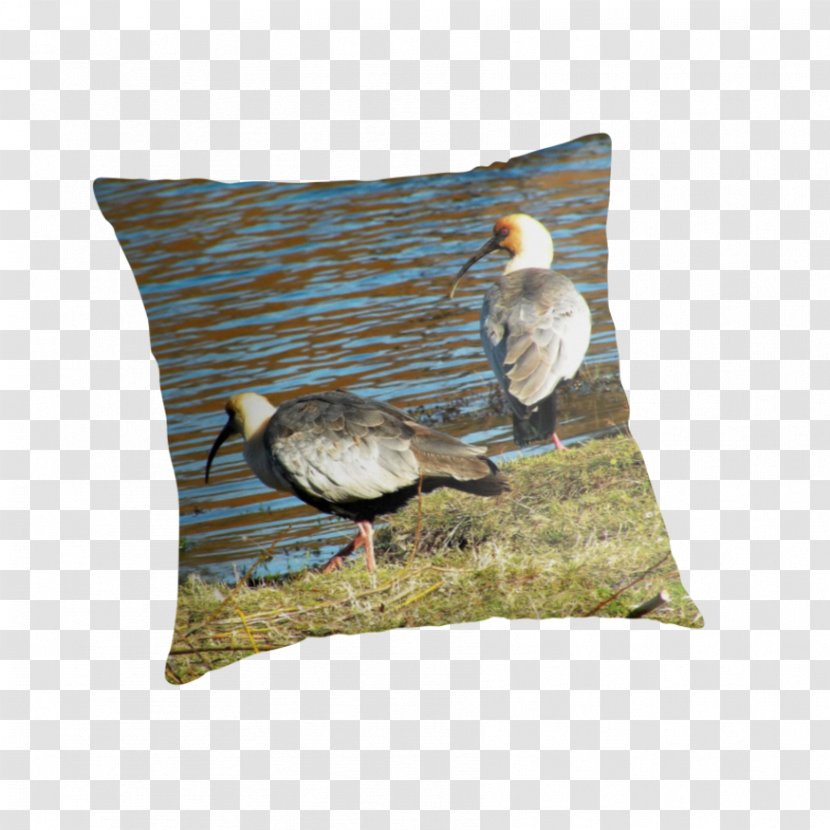 Throw Pillows Cushion Beak Feather - Chili Block Transparent PNG
