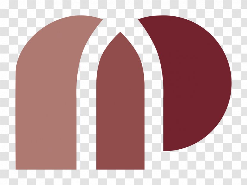 Nos Pais Television Logo Saliña, Curaçao Channel - Nederlandse Omroep Stichting - Logos Transparent PNG