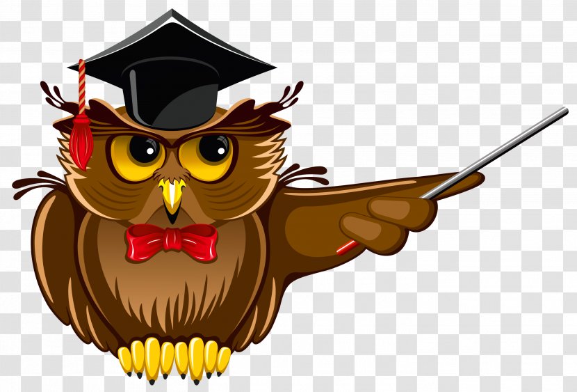 Doctorate Academic Degree Doctor Of Philosophy Student University - Bird - Owl Teacher Clipart Transparent PNG