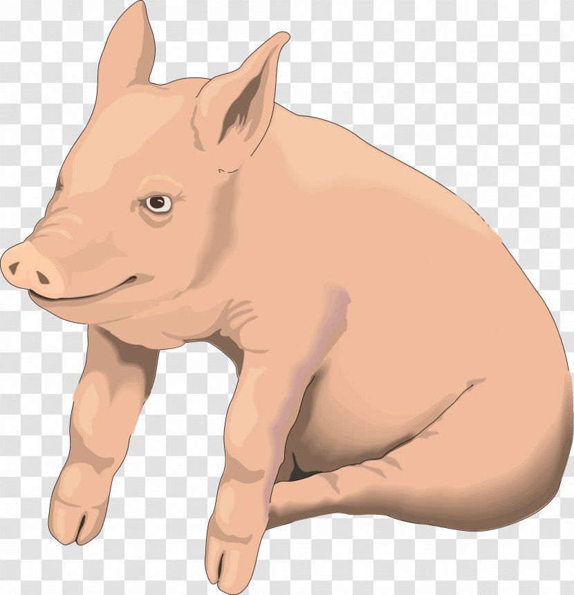 Domestic Pig Clip Art - Vertebrate - Picture Image Transparent PNG