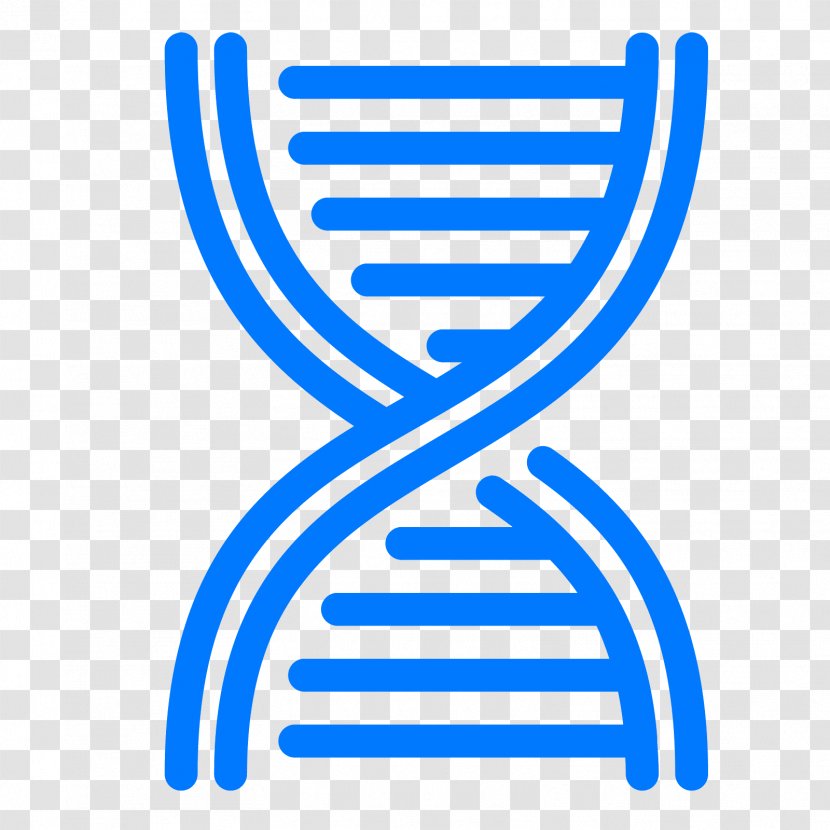 DNA Methylation Nucleic Acid Double Helix - Symbol - Cpg Site Transparent PNG