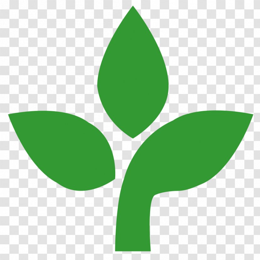 Wikipedia Creative Commons License Wikimedia Encyclopedia - Wiki - Plant Transparent PNG
