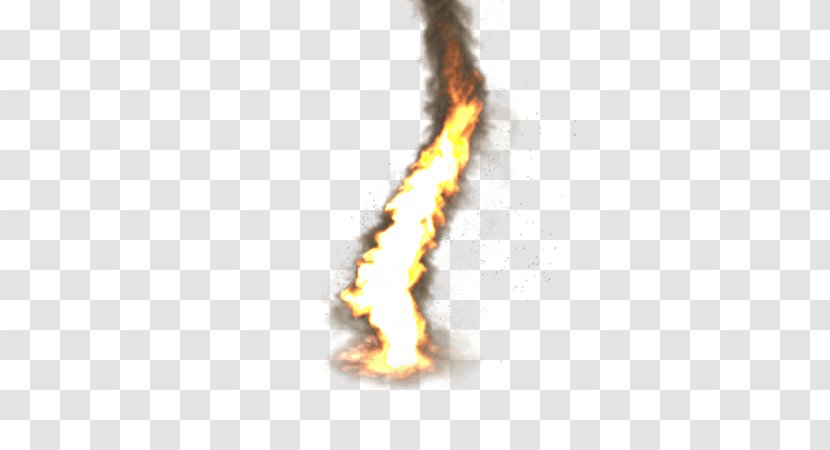 Flame Firestorm Fire Whirl Tornado - Flower Transparent PNG