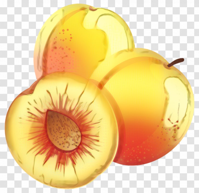 Orange Flower - Fruit - Perennial Plant Transparent PNG