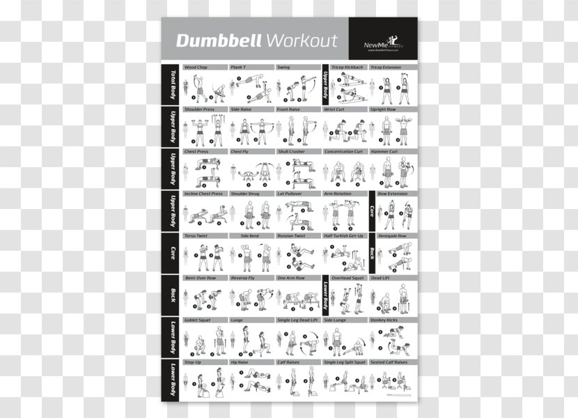 Weight Training Exercise Dumbbell Fitness Centre Strength - Silhouette Transparent PNG