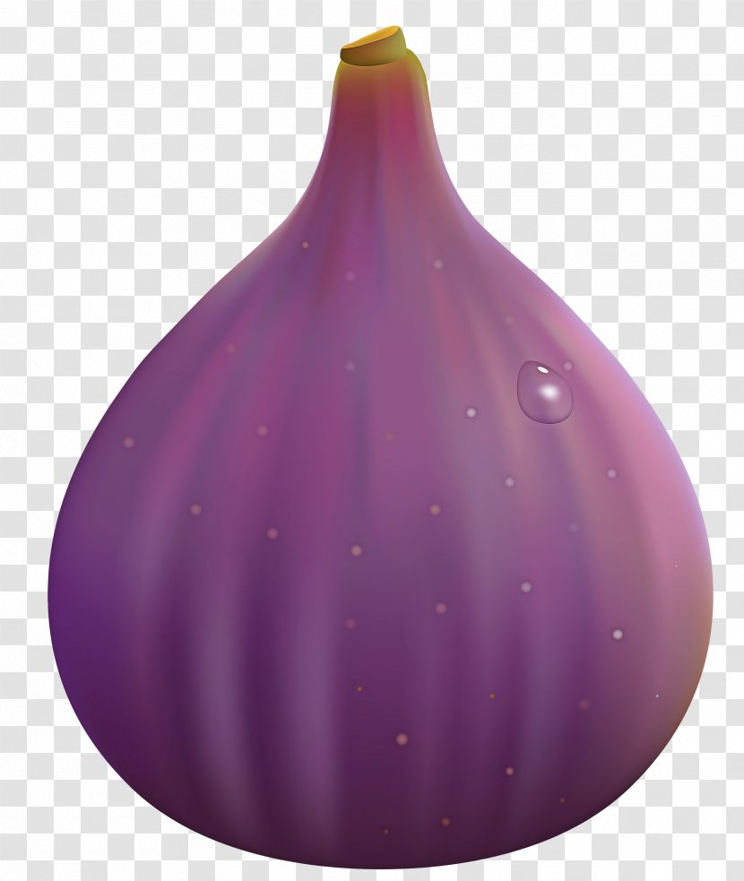 Purple Violet Vase Onion Plant - Allium Vegetable Transparent PNG