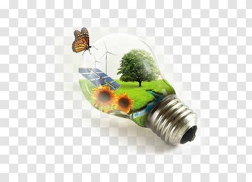 Pollution Environmental Protection Movement Environmentalism - Natural Environment Transparent PNG