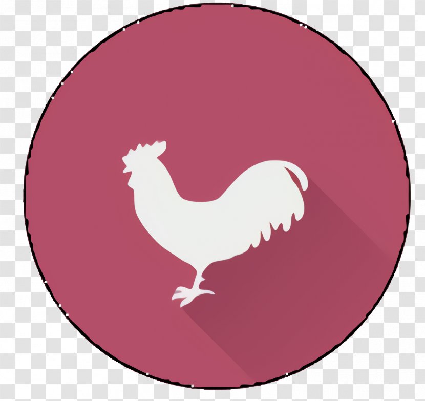Chicken Cartoon - Fowl Beak Transparent PNG