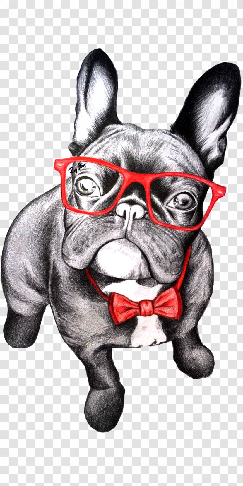 French Bulldog T-shirt Pug Puppy - Drawing - The Dog Painted Transparent PNG