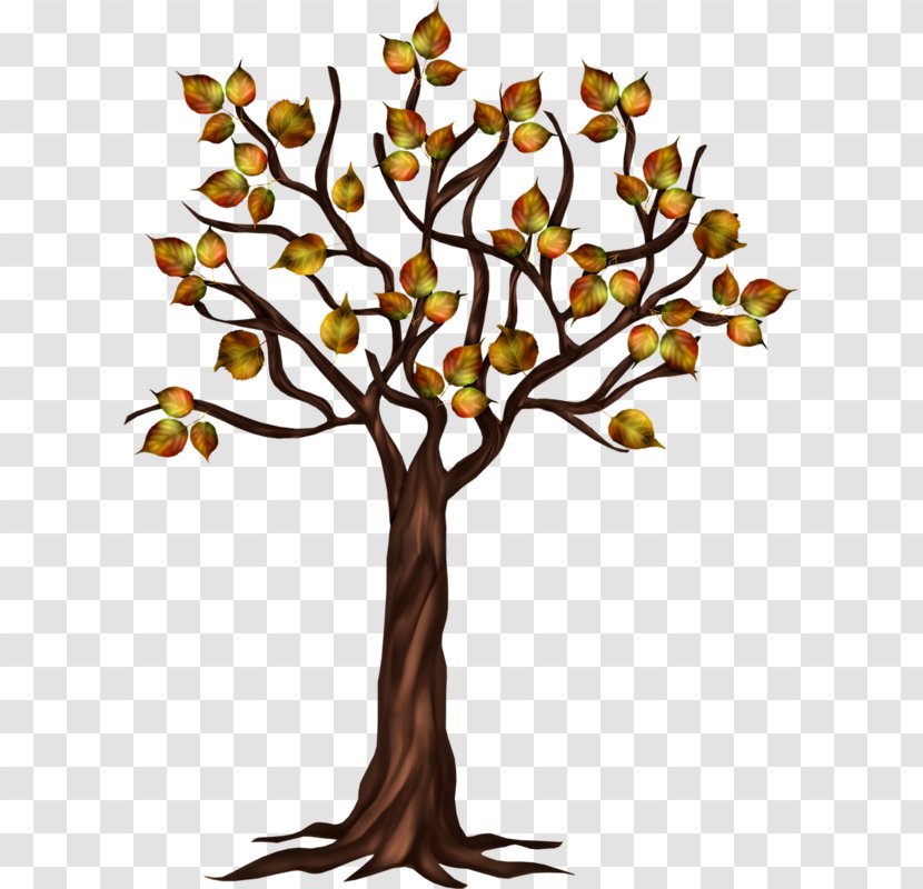 Tree Autumn - Plant - Hand-painted Trees Transparent PNG