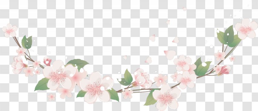 Picture Frames Flower Floral Design Clip Art Transparent PNG