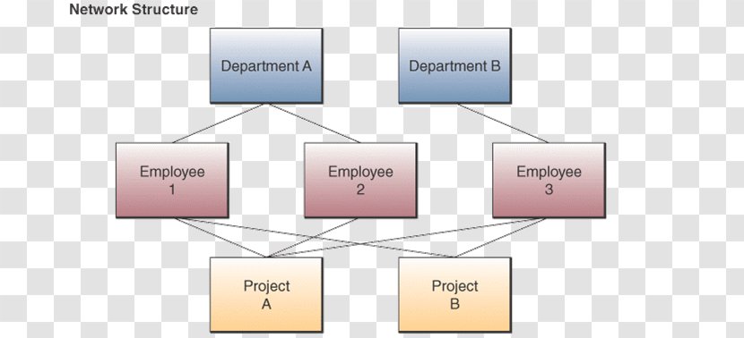 Database Data Structure Network Model - Organization Transparent PNG