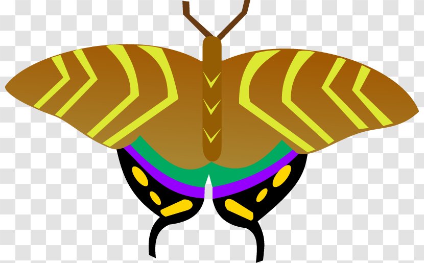 Monarch Butterfly Moth Insect - Butterflies And Moths Transparent PNG