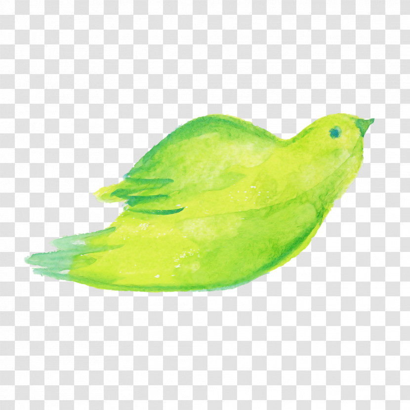 Feather Transparent PNG