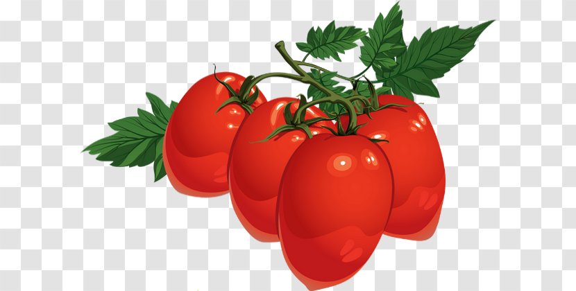 Tomato DRAWING - Juice - Plum Transparent PNG