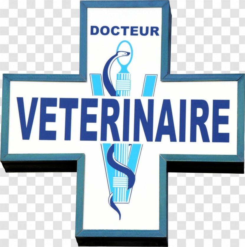 Dog Clinique Vétérinaire Veterinarian Cat Horse - Medicine Transparent PNG