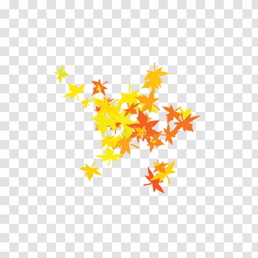 Maple Leaf - Motif - Leaves Transparent PNG