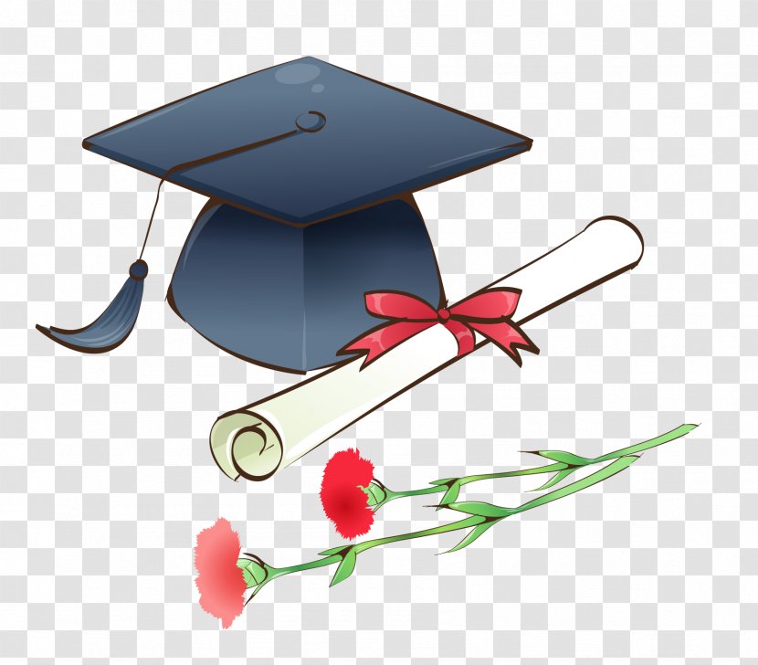 Graduation Ceremony Cartoon Doctorate - Estudante - Bachelor Of Cap And Roses Transparent PNG