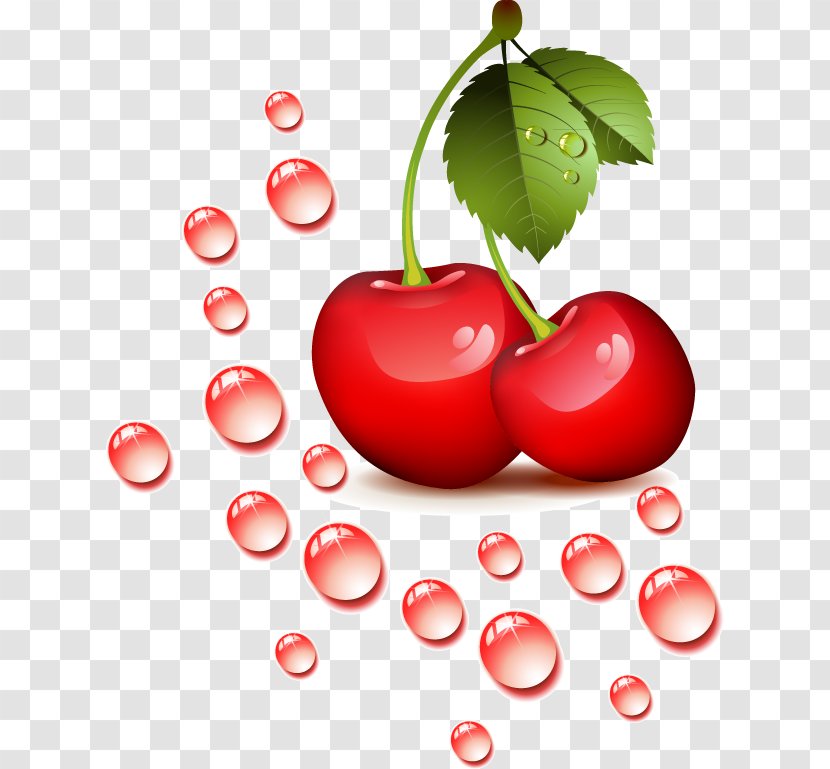 Cherry Clip Art - Water - Small Red Transparent PNG
