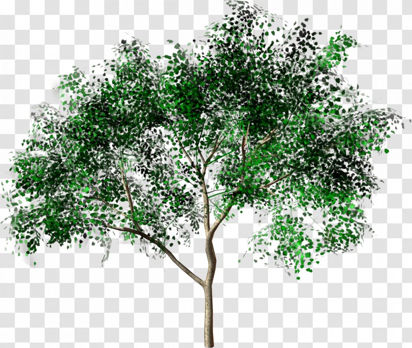 Tree Forest Drawing Painting - Low Poly - Transparent Transparent PNG