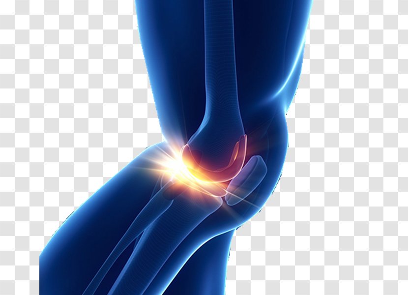 Knee Replacement Medicine Joint Therapy - Elbow - Dynamic Physiotherapy Transparent PNG