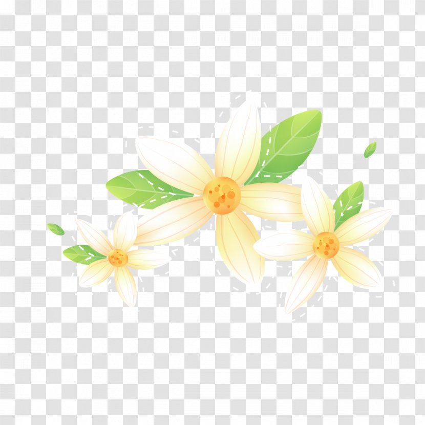 Download White Petal - Cartoon - Yellow Flower Decoration Design Transparent PNG