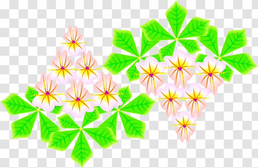 Petal Floral Design Line Symmetry Leaf - Flower - Herbaceous Transparent PNG