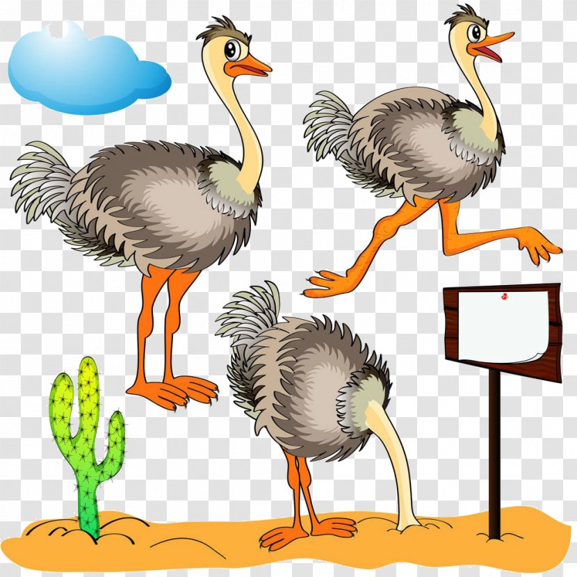 Common Ostrich Clip Art - Risk - Cartoon Material Transparent PNG