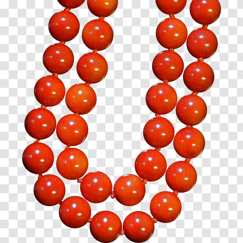 Mediterranean Sea Bead Red Coral Orange - Beads Transparent PNG