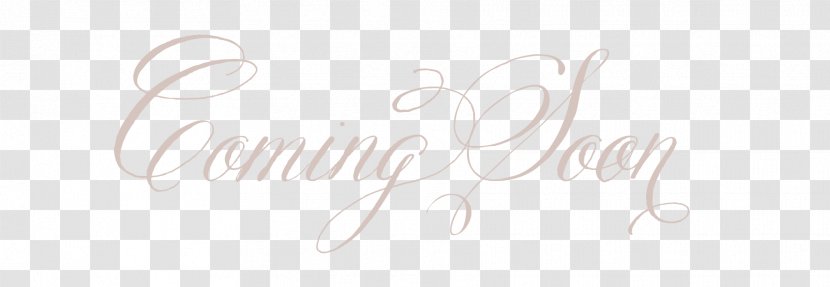 Logo Drawing Brand Calligraphy Font - Sen Department Of Wedding Transparent PNG