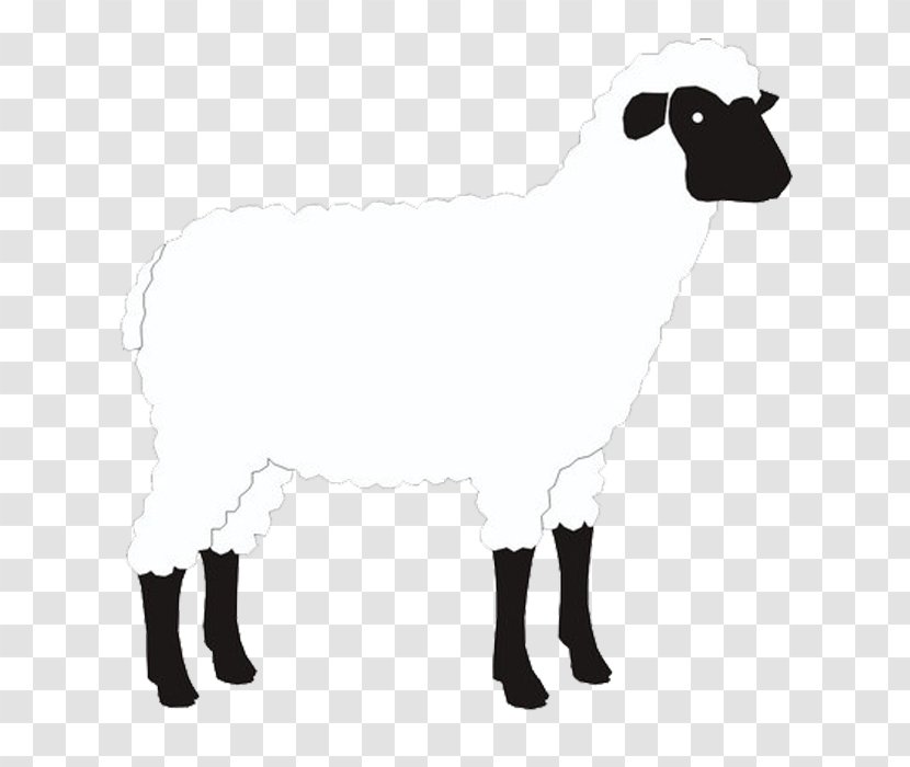 Sheep Goat Cattle Alpaca Drobnica Transparent PNG