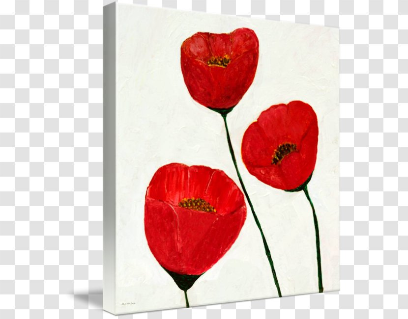 Acrylic Paint Poppy Painting Art Transparent PNG
