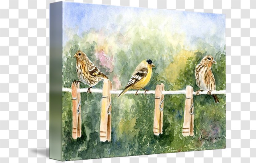 Watercolor Painting Fauna Flora Gallery Wrap - Beak Transparent PNG