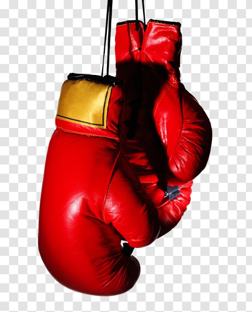 Boxing Glove - Everlast Transparent PNG