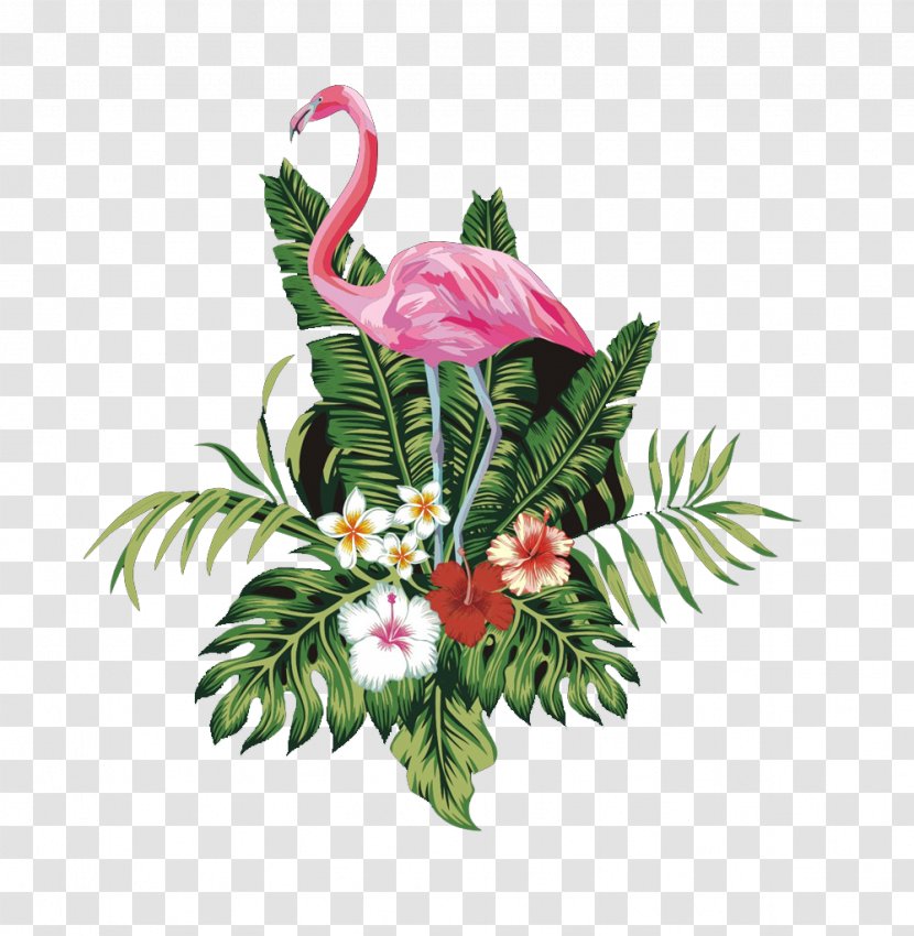 Bird Flamingo - Cut Flowers - Pink Transparent PNG