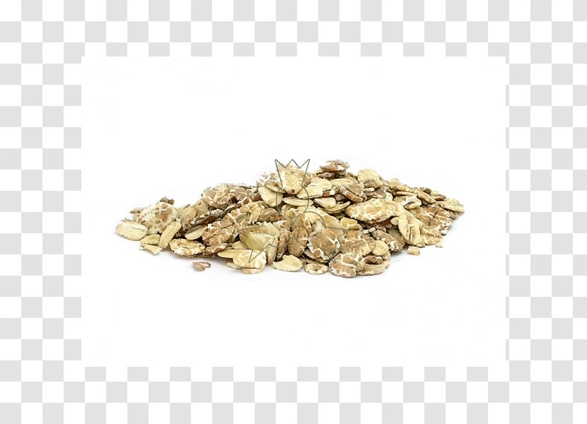 Salix Alba Muesli Salicin Bark - Manufacturing - HAZEL Transparent PNG