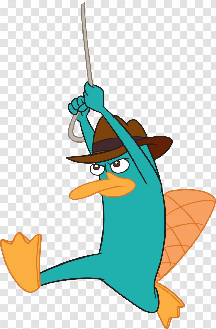 Perry The Platypus Phineas Flynn Ferb Fletcher Candace Dr. Heinz Doofenshmirtz - Ducks Geese And Swans Transparent PNG
