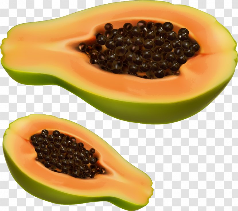 Auglis Papaya - Superfood - Beautifully Painted Vector Transparent PNG