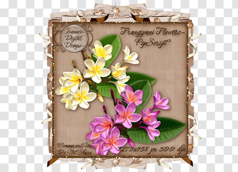 Watercolour Flowers Watercolor Painting Paper - Picture Frames Transparent PNG