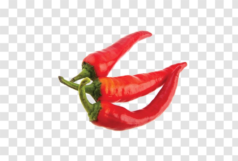 Chile De árbol Piquillo Pepper Bird's Eye Chili Serrano Tabasco - Malagueta - Bell Peppers And Transparent PNG